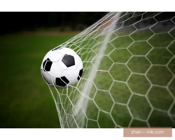 世界杯官方推出全新比赛场地保护措施确保赛场安全与绿色管理